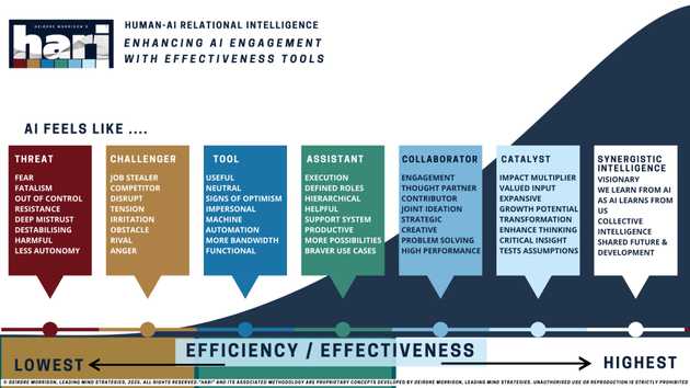 Deidre Morrisons's HARI framework