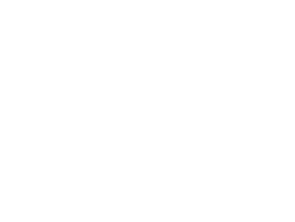 The k-nearest neighbour algorithm. The k-nearest neighbour algorithm